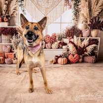 Thumbnail photo of Sasha (Courtesy) #1