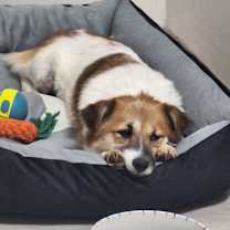 Thumbnail photo of Yeongbaek #4