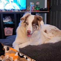 Thumbnail photo of Suki #2