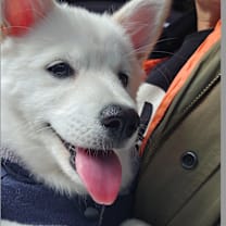 Thumbnail photo of YangYang #3