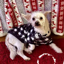 Thumbnail photo of Matthew #4