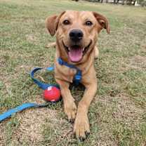 Thumbnail photo of Tony #4