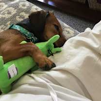 Thumbnail photo of Wally #2