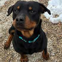 Thumbnail photo of Jethro #1