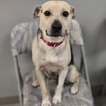 Thumbnail photo of Max #2