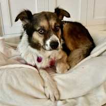 Thumbnail photo of Berri #2