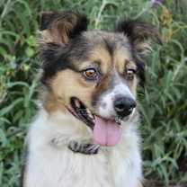 Thumbnail photo of Berri #3