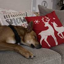 Thumbnail photo of Bingo #4