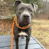 Thumbnail photo of THANOS #3