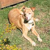 Thumbnail photo of REBEL #1