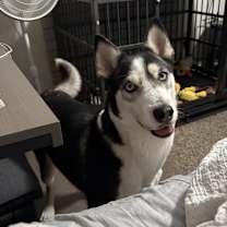 Thumbnail photo of Greer #1