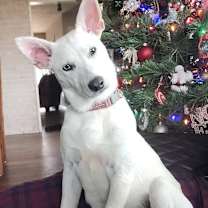 Thumbnail photo of Clay  #1