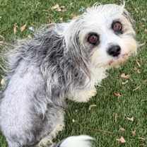 Thumbnail photo of Jenna #3