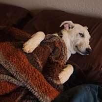 Thumbnail photo of Clay  #4