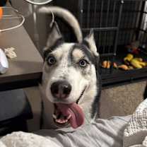 Thumbnail photo of Greer #3