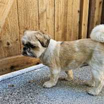 Thumbnail photo of Suzy #1