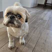 Thumbnail photo of Suzy #3