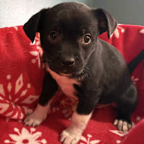 Thumbnail photo of Kady #2