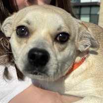 Thumbnail photo of Billie Eilish #4