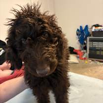 Thumbnail photo of Heather #4