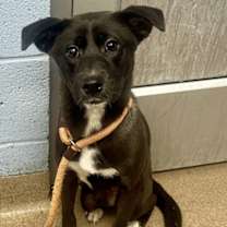 Thumbnail photo of Pure #1