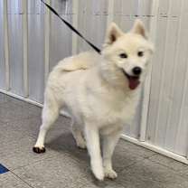 Thumbnail photo of Ember #2