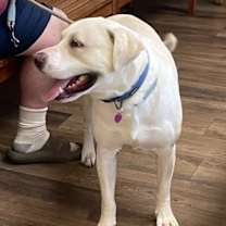 Thumbnail photo of Bama #4