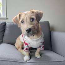 Thumbnail photo of Precious #2