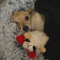 Thumbnail photo of Pocket #3