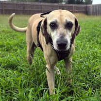 Thumbnail photo of Emmabella #4