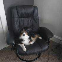 Thumbnail photo of Luna #4