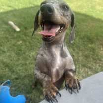 Thumbnail photo of Radar #4