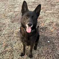 Thumbnail photo of Jude  #1