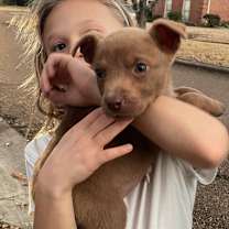 Thumbnail photo of Campbell #2