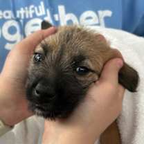 Thumbnail photo of Doc #2