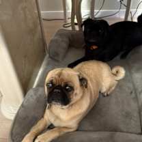 Thumbnail photo of Ted #4