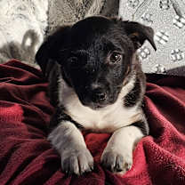 Thumbnail photo of Lana #2