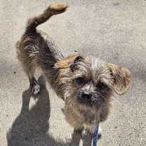 Thumbnail photo of Little Ninja #1