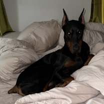 Thumbnail photo of Mack #3