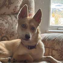 Thumbnail photo of Honey #2