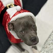 Thumbnail photo of Mellen #1