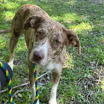 Thumbnail photo of Coffee #1