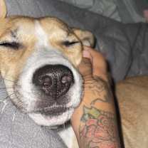 Thumbnail photo of Sade #3