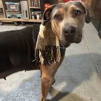 Thumbnail photo of KERRI~Watch my video. #1