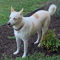 Thumbnail photo of Mitzi #1