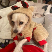 Thumbnail photo of Quinn #3