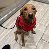 Thumbnail photo of Gretchen #4