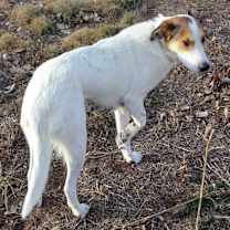 Thumbnail photo of MELINDA #2