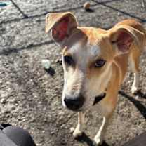 Thumbnail photo of Gunner #1