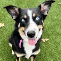 Thumbnail photo of Bell #2